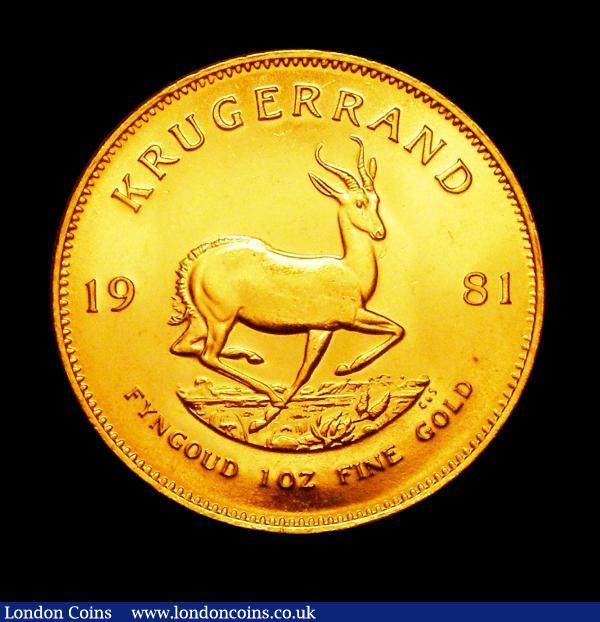 South Africa Krugerrand 1981 Unc : World Coins : Auction 150 : Lot 1236