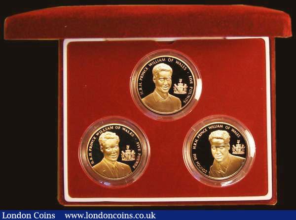 London Coins : A180 : Lot 634 : Channel Islands - The Prince William of Wales Gold Collection a 3-coin set 2003 in gold comprising G...