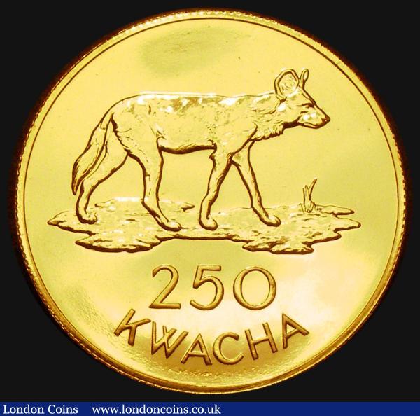 Zambia 250 Kwacha 1979 Gold Conservation series - African Wild Dog KM#20 UNC with virtually full lustre, only 455 minted, one of the lowest mintages of the Gold Conservation series : World Coins : Auction 183 : Lot 1244